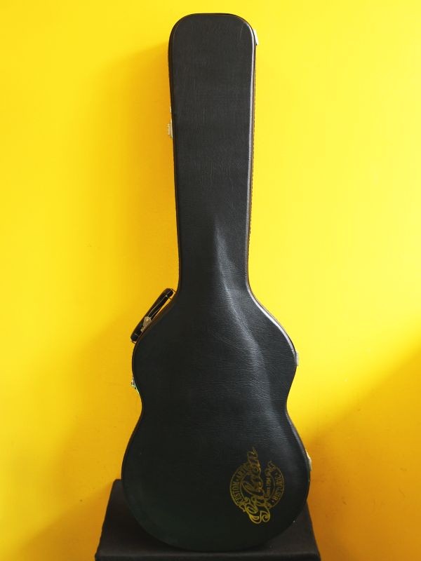 Electric Guitar Case Gibson Custom Art Historic